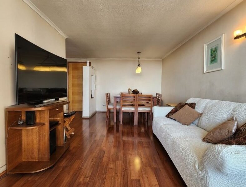 Amplio y luminosos depto en Ñuñoa