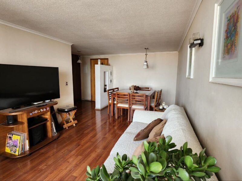 Amplio y luminosos depto en Ñuñoa